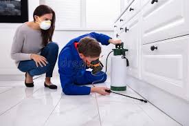 Best Real Estate Pest Inspections  in South Miami, FL